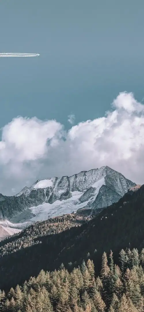 景深风景手机壁纸