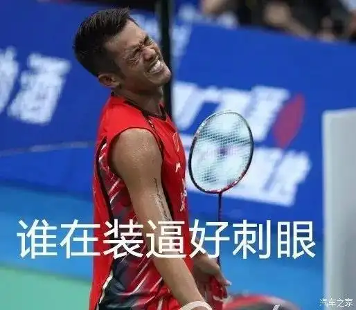 精彩的林丹和李宗伟的表情包