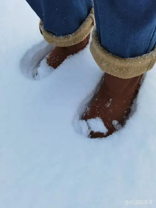 风,停了 夜静的可听到雪落 枝子在黑暗中折断 像