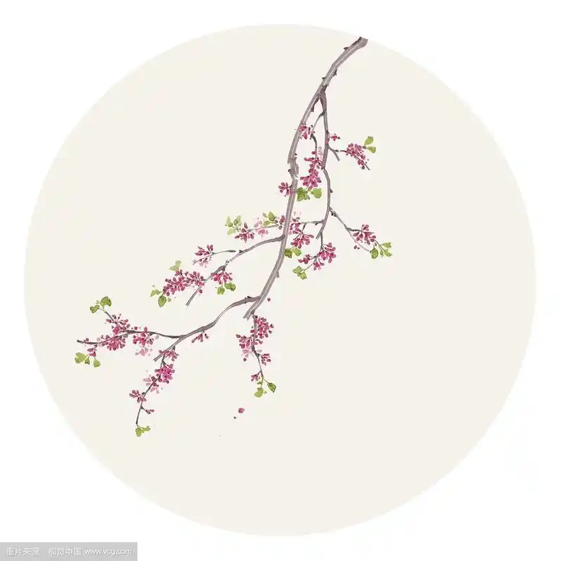 水彩花草插画 紫荆花