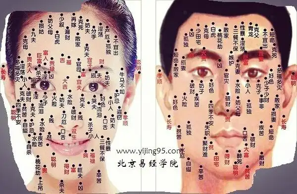 怎样知道脸上的痣那些能取,那些不能取?