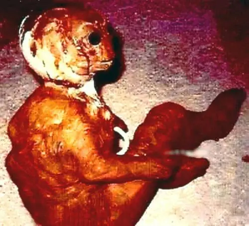 真实的外星人解密照片组图 震惊世界