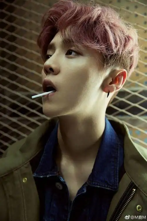 鹿晗是男的吗鹿晗是男的还是女的