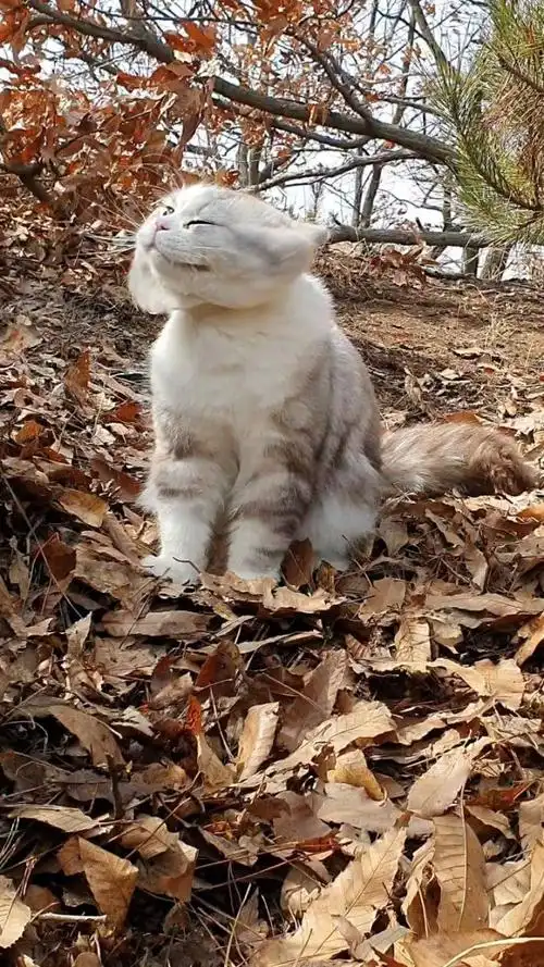 什么玩意砸到我屁股了.嗯好大的胆子