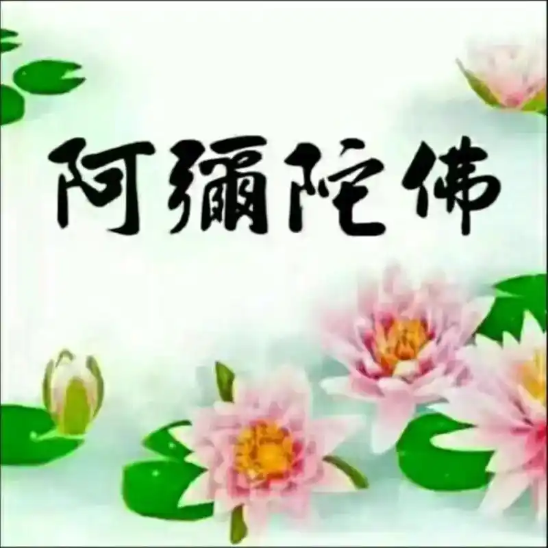 三身莲05#阿弥陀佛 #愿所求皆所愿 #感恩一切遇见 #愿一 - 抖音