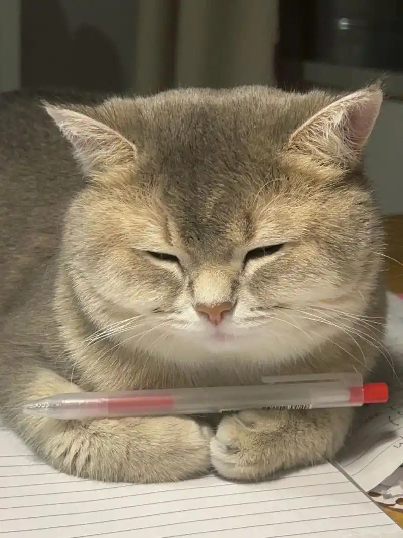 又是陪着妈妈做功课的甜心小宝贝 98陪着陪着就困了