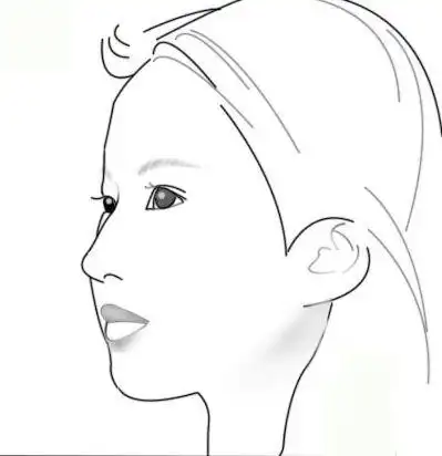 刘亦菲的简笔画