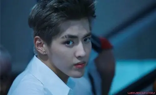 吴亦凡宋茜同台引热议两人在一起过吗热吻照遭疯传