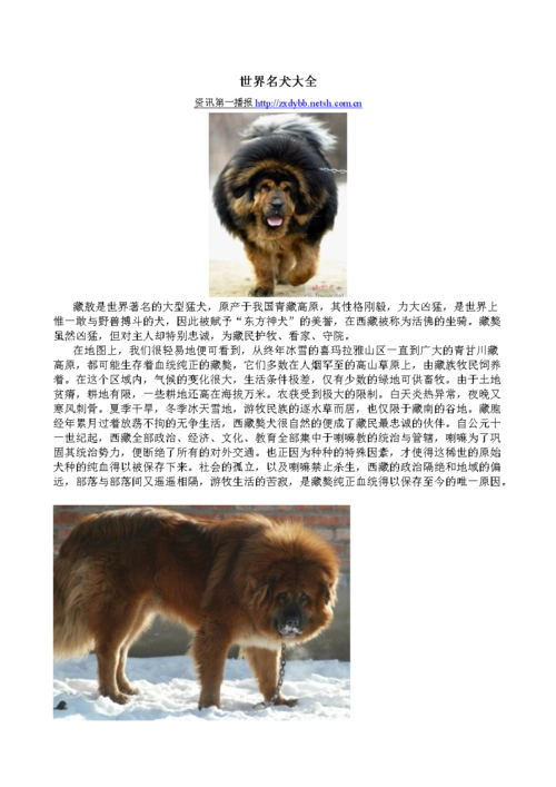 名犬大全精编.doc