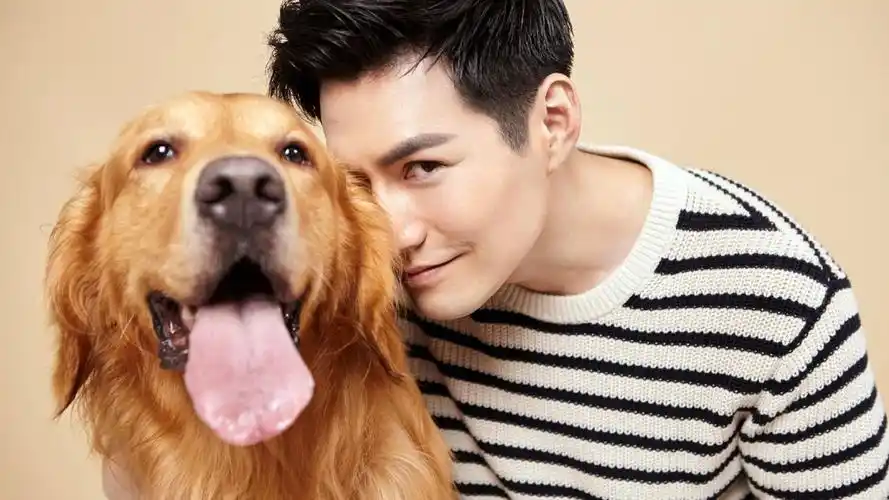 严屹宽与大金毛壁纸