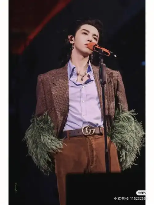 我们et/火姐就好好爱我们的华晨宇吧!