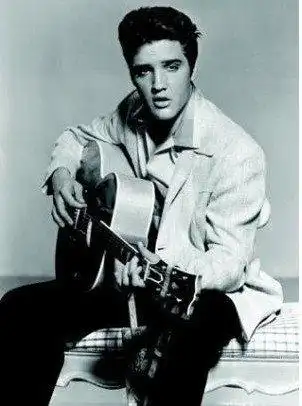 猫王的贡献 猫王怎么死的?猫王死因真相令人震惊(竟因便秘而死)