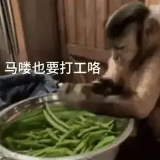 图文来了 #人间真实系列 #表情包 - 抖音