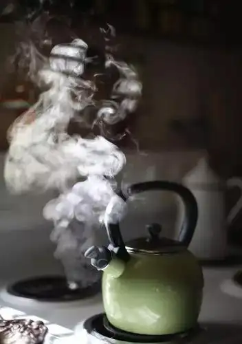 还有一种省事儿的方法,就是利用 水蒸气!