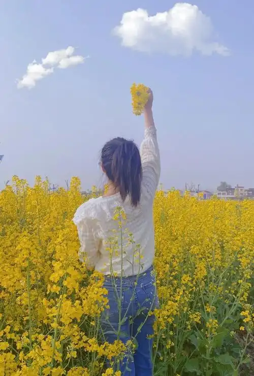 春天的妩媚风信年华花海田园,我们走近了前方,可有你折回的背影花丛里