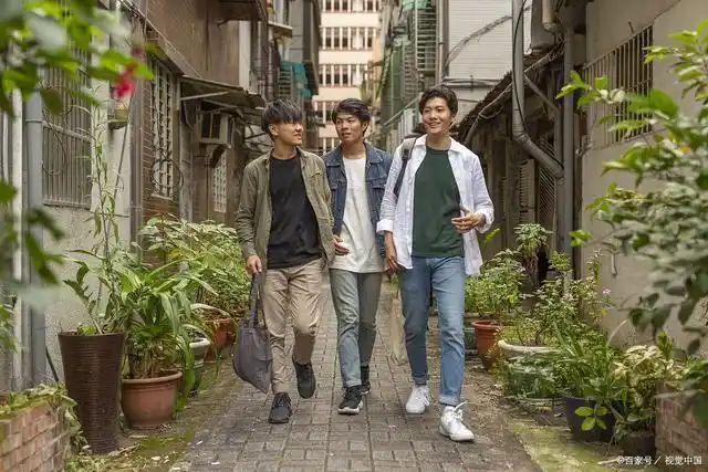 城市女孩为何嫌弃小镇青年?作者揭示背后真相!