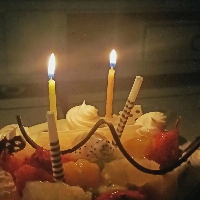 祝我生日快乐#生活碎片 #分享照片  - 抖音