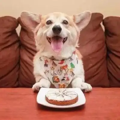 情侣头像丨如果你特无聊,我们就一起聊_情头_素材_头像_小红书