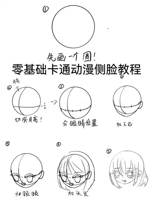 零基础动漫侧脸的画法保姆级别一侧面教程好多人和我说画画好难~~不会