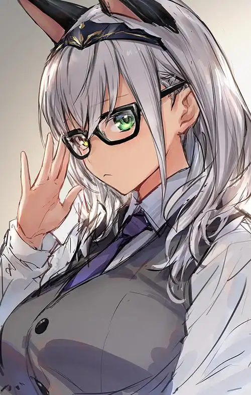 白银诺艾尔推特图20张