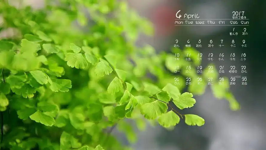 2017年4月小清新绿色植物高清桌面日历壁纸