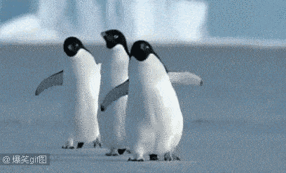 408_248gif 动态图 动图