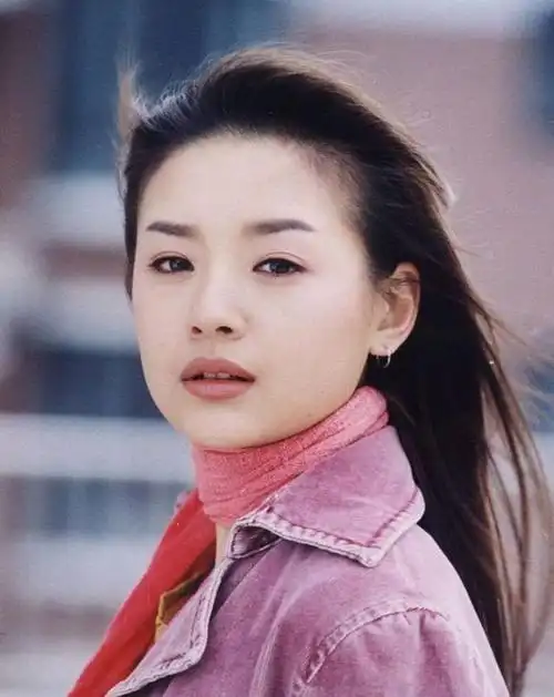 董洁——清冷气质脸