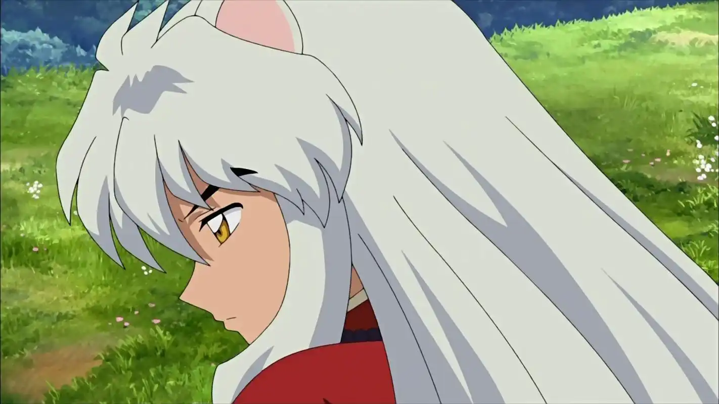 犬夜叉,是一个能为朋友两肋插刀,为爱人付出生命,纯真可爱而又从不服