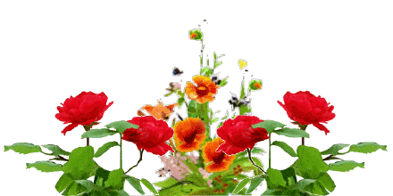 440_220gif 动态图 动图