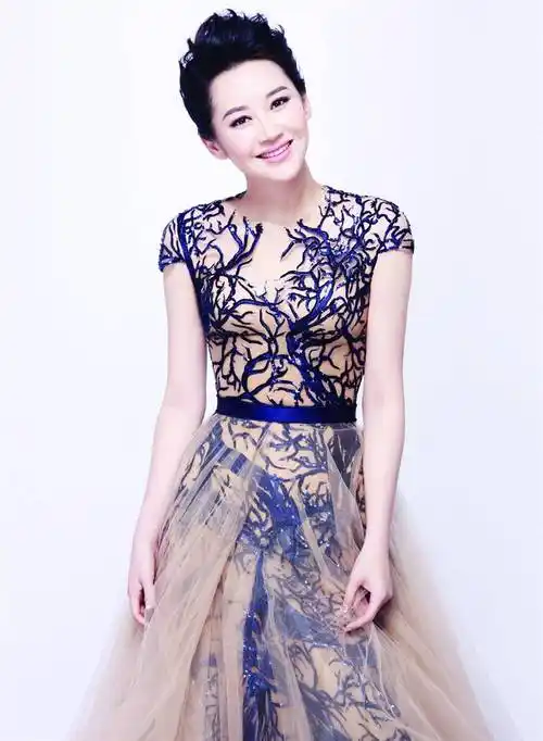 演员许晴被执行624万元,演员之路彻底凉凉_商业_服务_信息