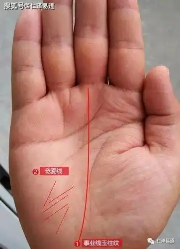 十大手相富贵纹_千年罕见的手相-rfid信息网