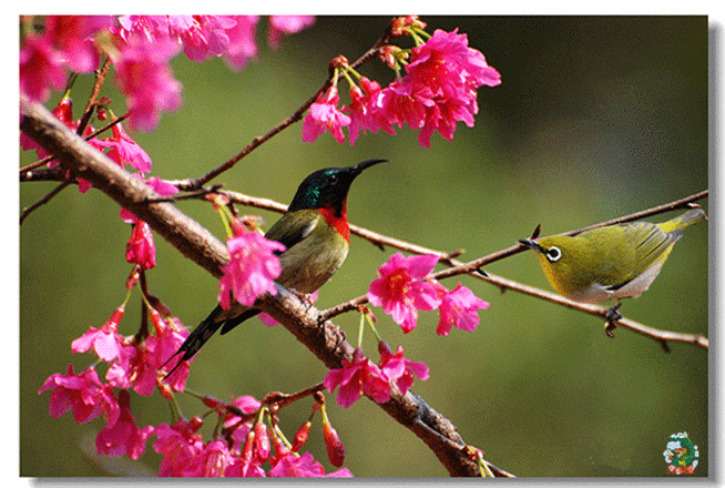 690_464gif 动态图 动图