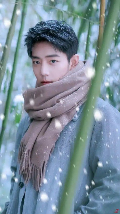 肖战冬至竹林大片##日常见肖战