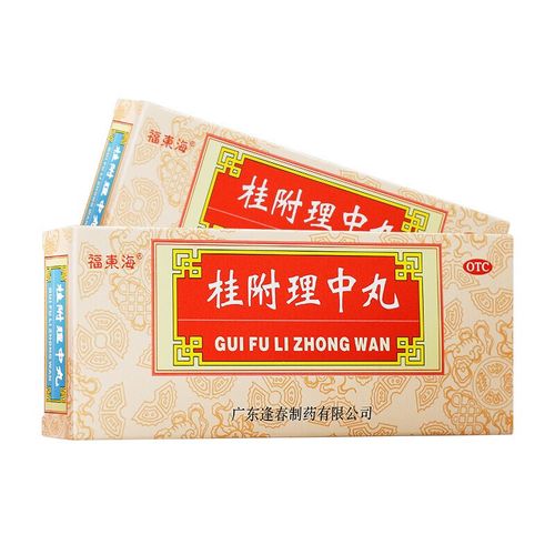 福东海 桂附理中丸 9g*10丸 1盒装