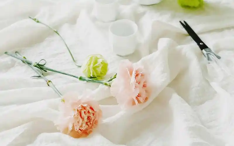 清新静物图片电脑桌面壁纸~~为你的桌面换上一张干净清新简约的壁纸吧