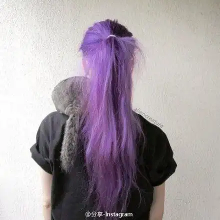 com/ililacko,微信:lilacko)#紫色