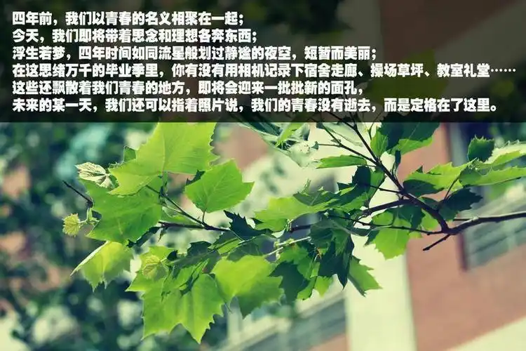 【致我们终将逝去的毕业季】追忆我们在校园的青葱岁月 分享照片说出