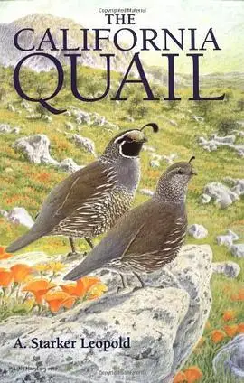 the california quail (豆瓣)