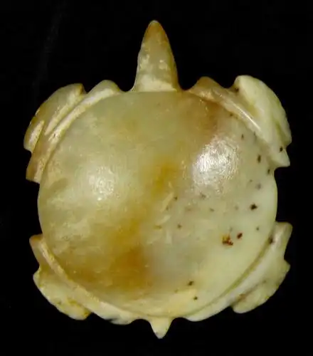 红山玉龟,高10厘米.