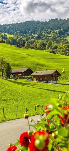 iphone 风景 一颗酸苹果 - 堆糖,美图壁纸兴趣社区