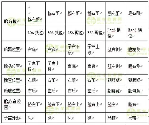 主管护师 答疑周刊 > 正文【学员提问】胎心音的听诊部位怎么判断?