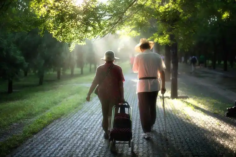 天坛公园的一条古道上漫步着一对老夫妻,岁月静谧又安好.