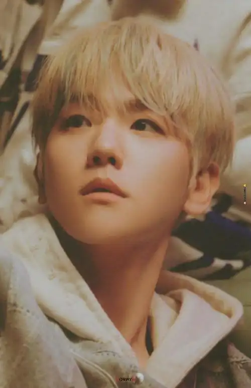 边伯贤solo出道四周年