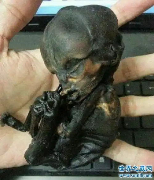 揭秘张柏芝养小鬼,只为求得真命天子却险些丧命