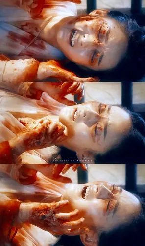 赵丽颖花千骨图源wb见水印