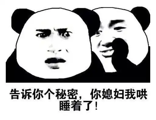 告诉你个秘密,你媳妇我哄睡着了(熊猫头表情包)