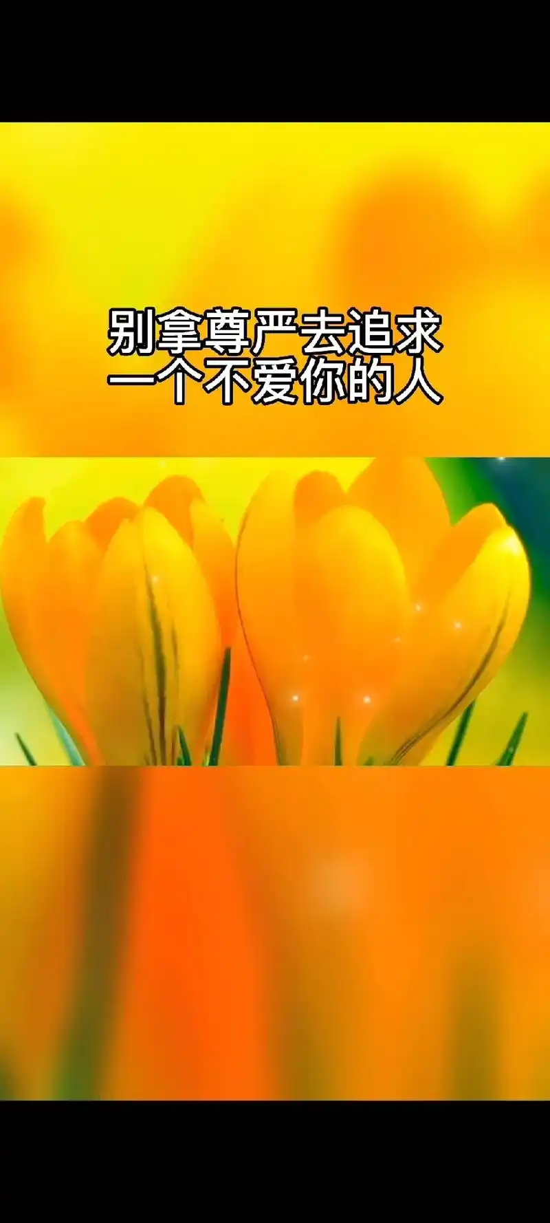 可能最傻的经历大概就是这样,总是一厢情愿地高估对方对自己的感 - 抖