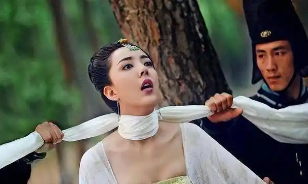 在电视剧中我们可以看到,有很多女人为了荣华富贵想成为皇上的女人