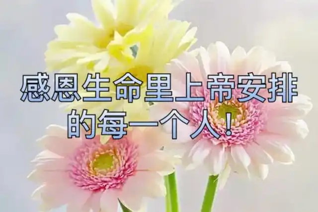 感恩生命里上帝安排的每一个人!
