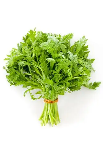 一捆茼蒿图片_图片大全